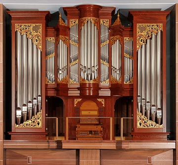 random organ photo